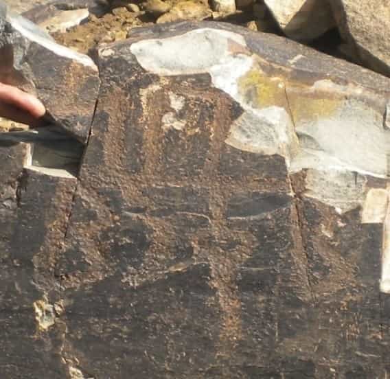 الشرعي سحار 3